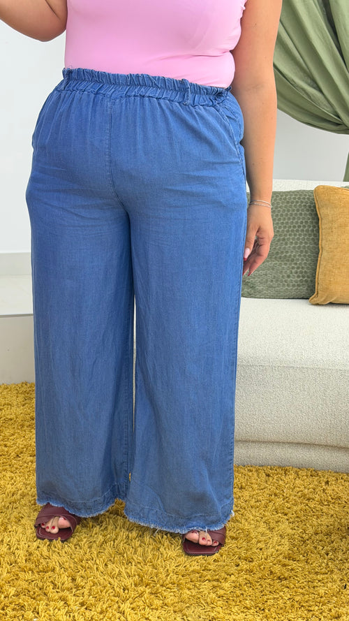 Panta Denim Curvy