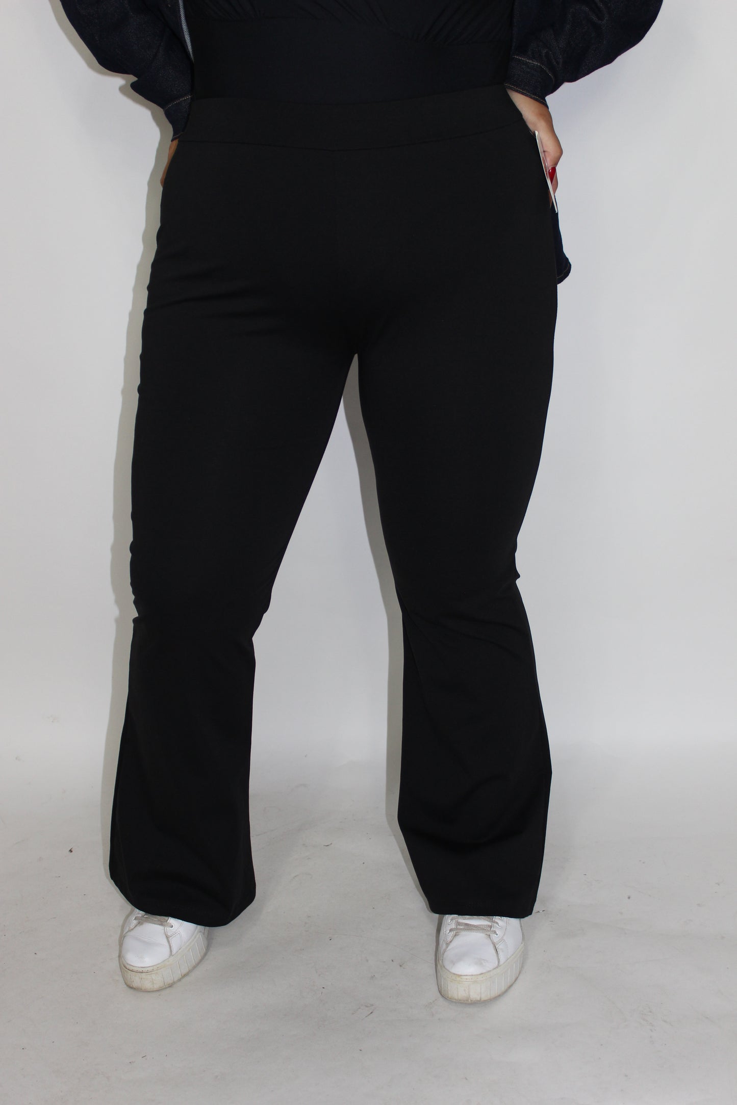 Panta Leggings a zampa Curvy